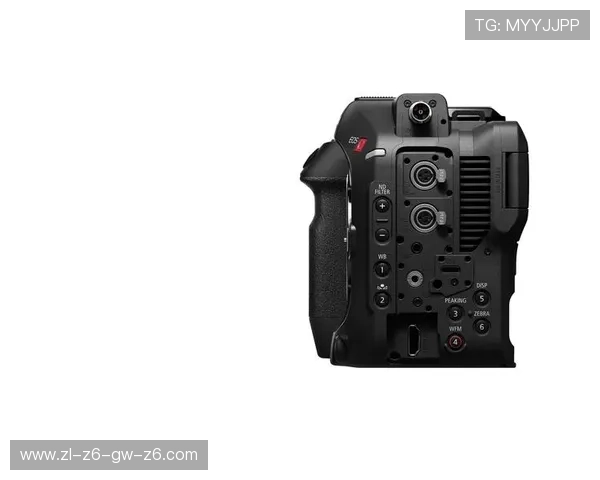 Z6尊龙手机版：多样化的游戏玩法满足不同玩家的个性化需求