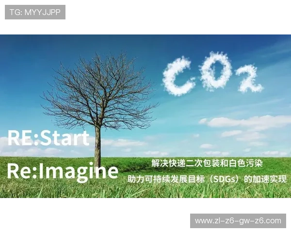 Kaiyun开云线上官方入口：详细指南帮助新手快速找到正规入口安全登录方式