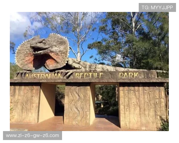 开云KY手机版APP下载安装方法详解帮助用户顺利完成各版本下载