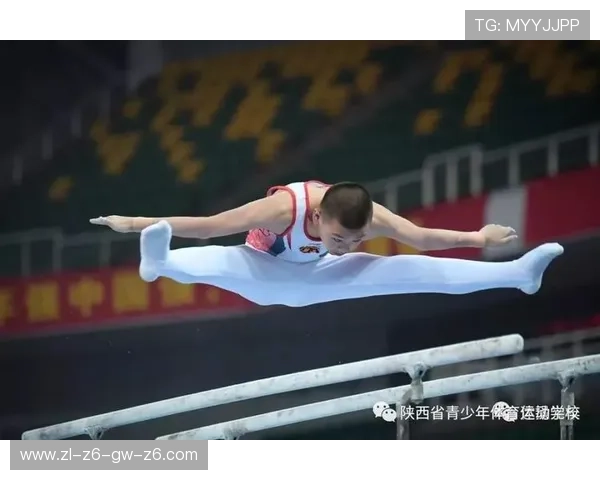 开运体育电脑版免费下载，开启你的专业运动训练新旅程