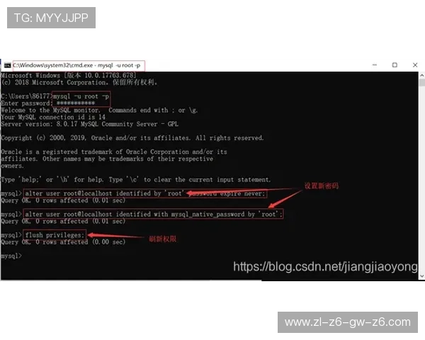 尊龙软件下载：常见问题及解决方案全面解析