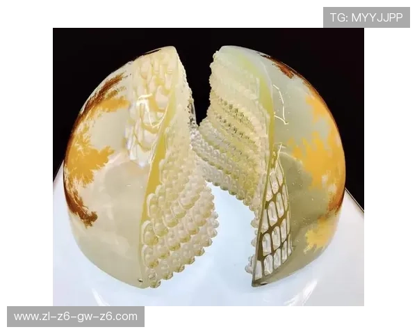 探索尊龙凯时带来的多彩人生博弈之旅