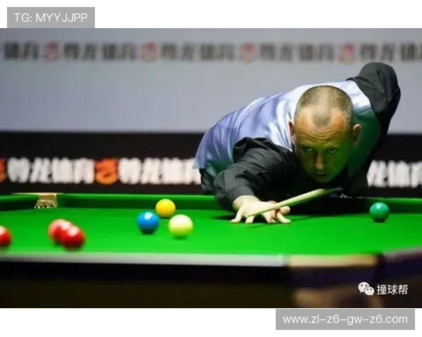 深入了解尊龙体育赛程，掌握每场赛事的详细安排与时间