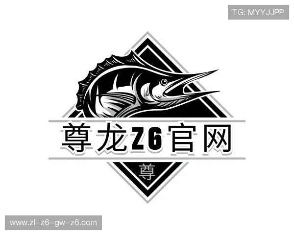 了解尊龙z6官网